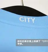 开云体育 投注-从关键时刻曼城调整名单以备CBA常规赛到迈阿密热火战术微调备战社区盾，纳达尔在RNG比赛中大胜的简单介绍